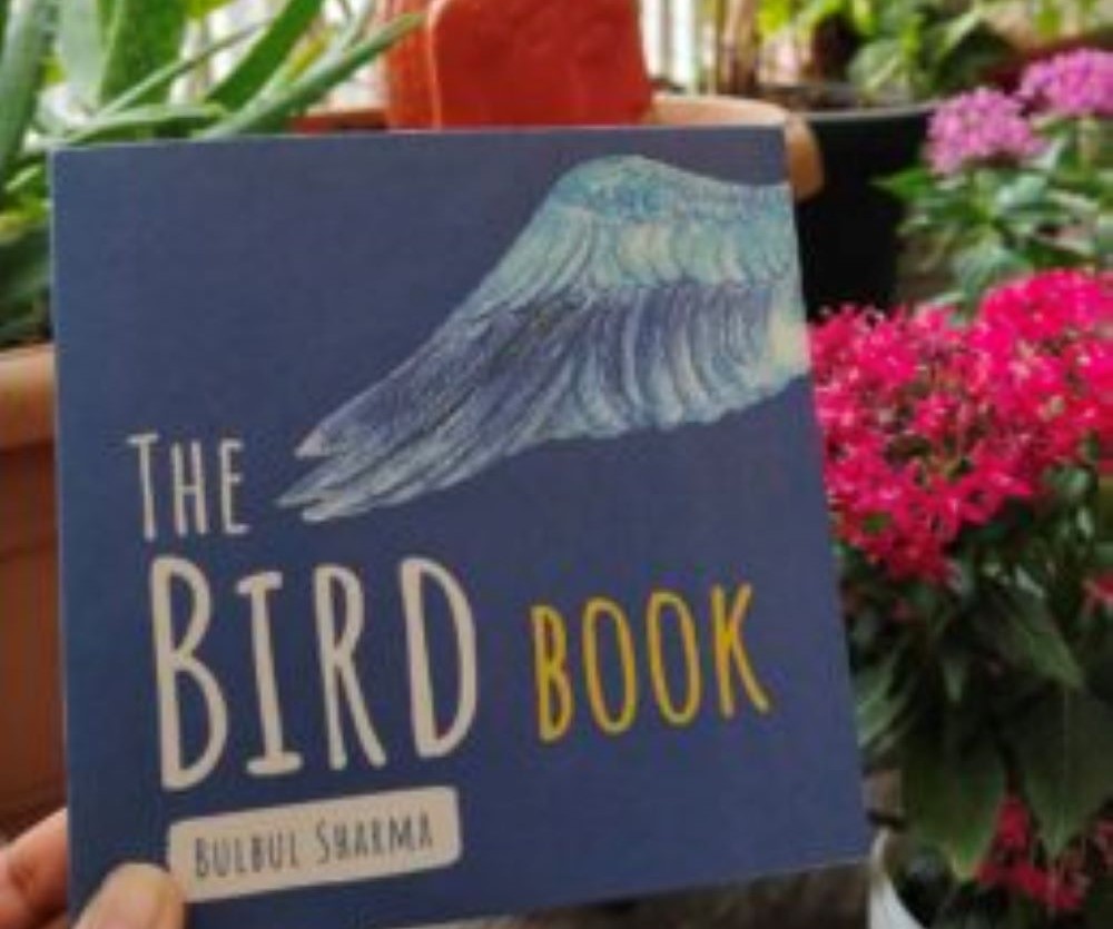 Review: The Bird Book